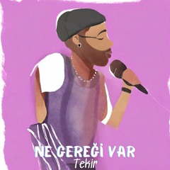 Tekir - Ne Geregi Var (DJ SHAKUR Lemonade Edit)
