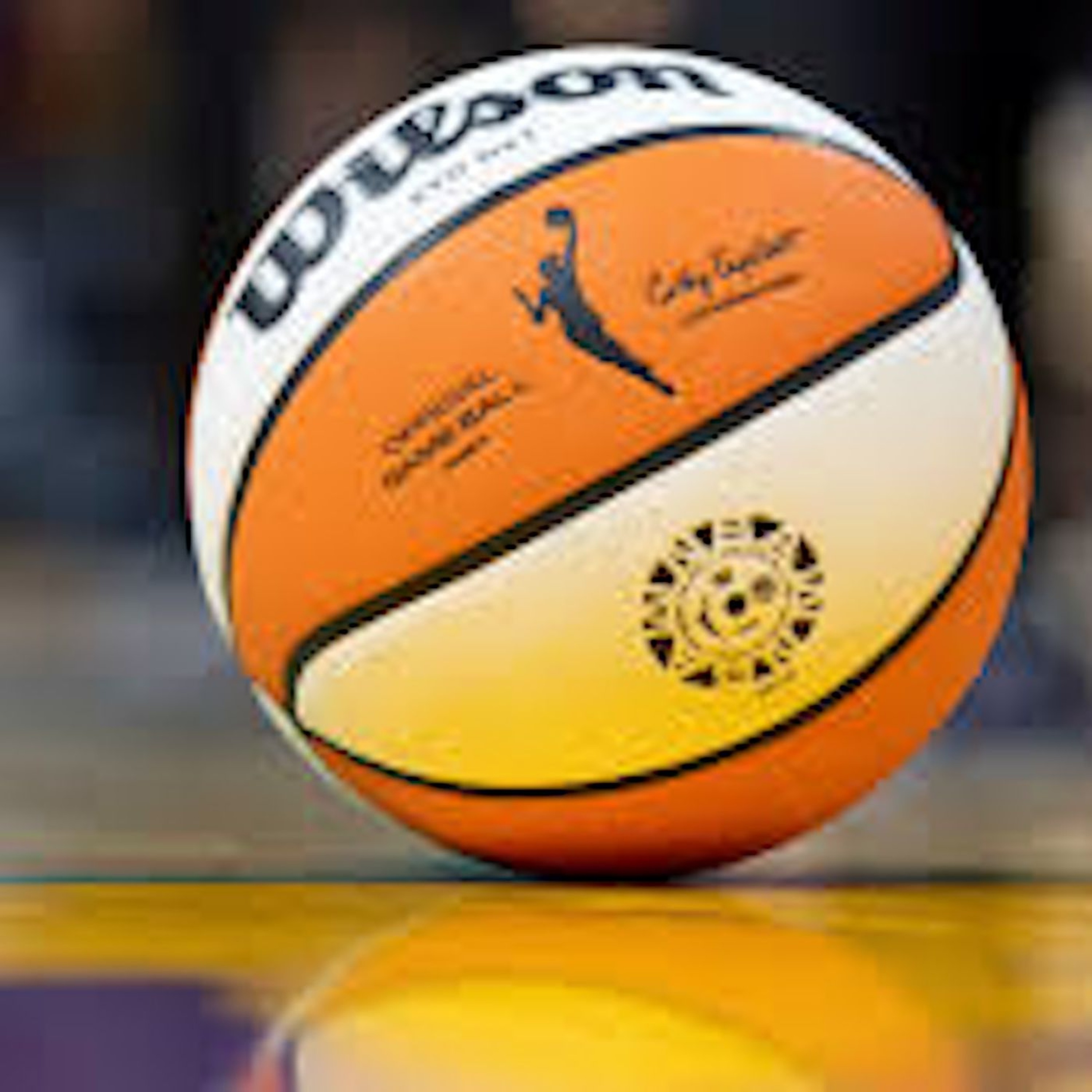 Central Indiana Sports Report