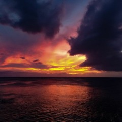 Paradise is a State of MInd