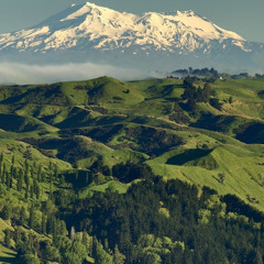 Jamás se den por vencidos