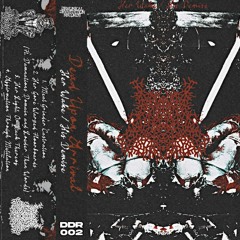 Dead Upon Arrival - Affirmation Through Mutilation