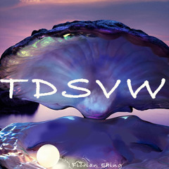 TDSVW #01 w/ Florian Ehing