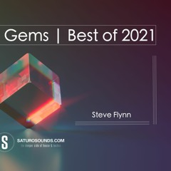 Steven Flynn Sonic Gems - Best of 2021