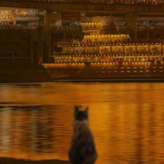 Sai thì cũng sai rồi | 错都错了