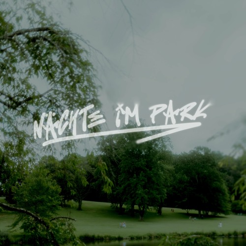 Nächte Im Park - BNZO (TIKTOK HYPERTECHNO)