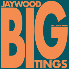 BIG TINGS (feat. Tune-Yards)