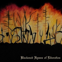 Black Metal Antifa (Los Fastidios cover)