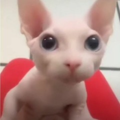 MIXEUH