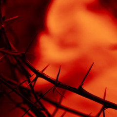 Nothing But The Blood of Jesus - Alexandr Sysoyev