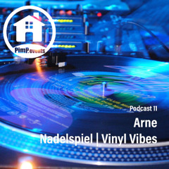 Arne - Nadelspiel |  Vinyl Vibes - PimP Events Podcast 11