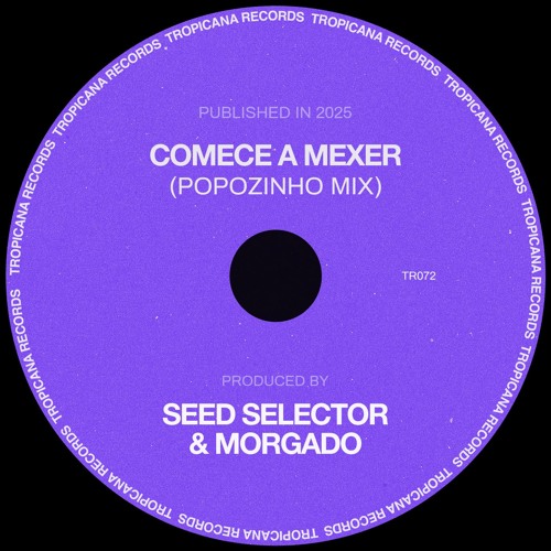 Seed Selector & Morgado - Comece a Mexer (Popozinho Mix)