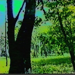 bmp.1