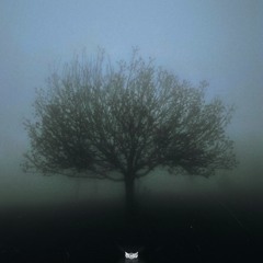 feeling