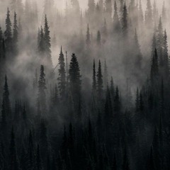 Geekinese [prod. enveez]