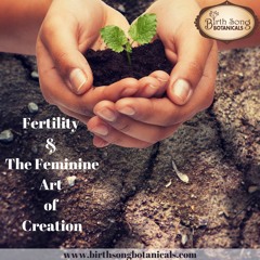 Fertilty & The Feminine Art of Creation