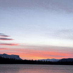 If Could I Would Freestyle (Prod. YoungTaylor)