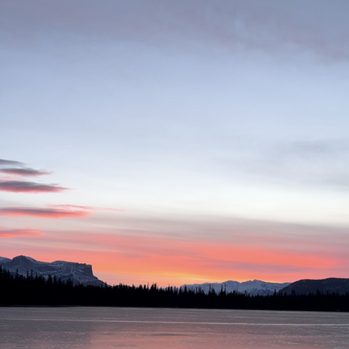 If Could I Would Freestyle (Prod. YoungTaylor)