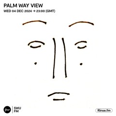 Palm Way View - 04 December 2024