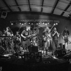 Mulletfunk (Live from Casper Mtn)