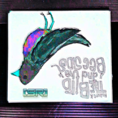 Relient K - Curl Up and Die(SubRize Liquid Rinse Remix)