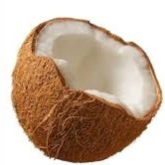 The Coconut Song - (Da Coconut Nut)