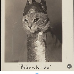 BuddhaBlaze ALL DA WAY LIVE SET June 18