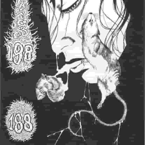 <FigdetingRats-NibblingMy="Lies">188