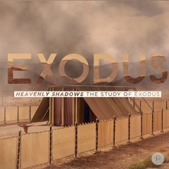 Exodus | Enter God's Rest | Kort Marley