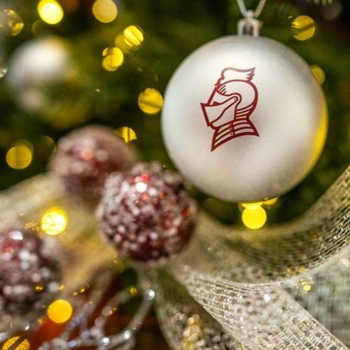 Advice and Festivities During Finals