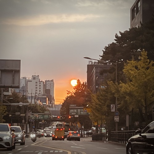 세상의 모든 음악 캠프 (My Radio Stars)