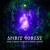 Artwork for Brain Damage, Back & Spirit Device - Spirit Forest (Original Mix)