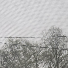 kingeo - Spring Rains