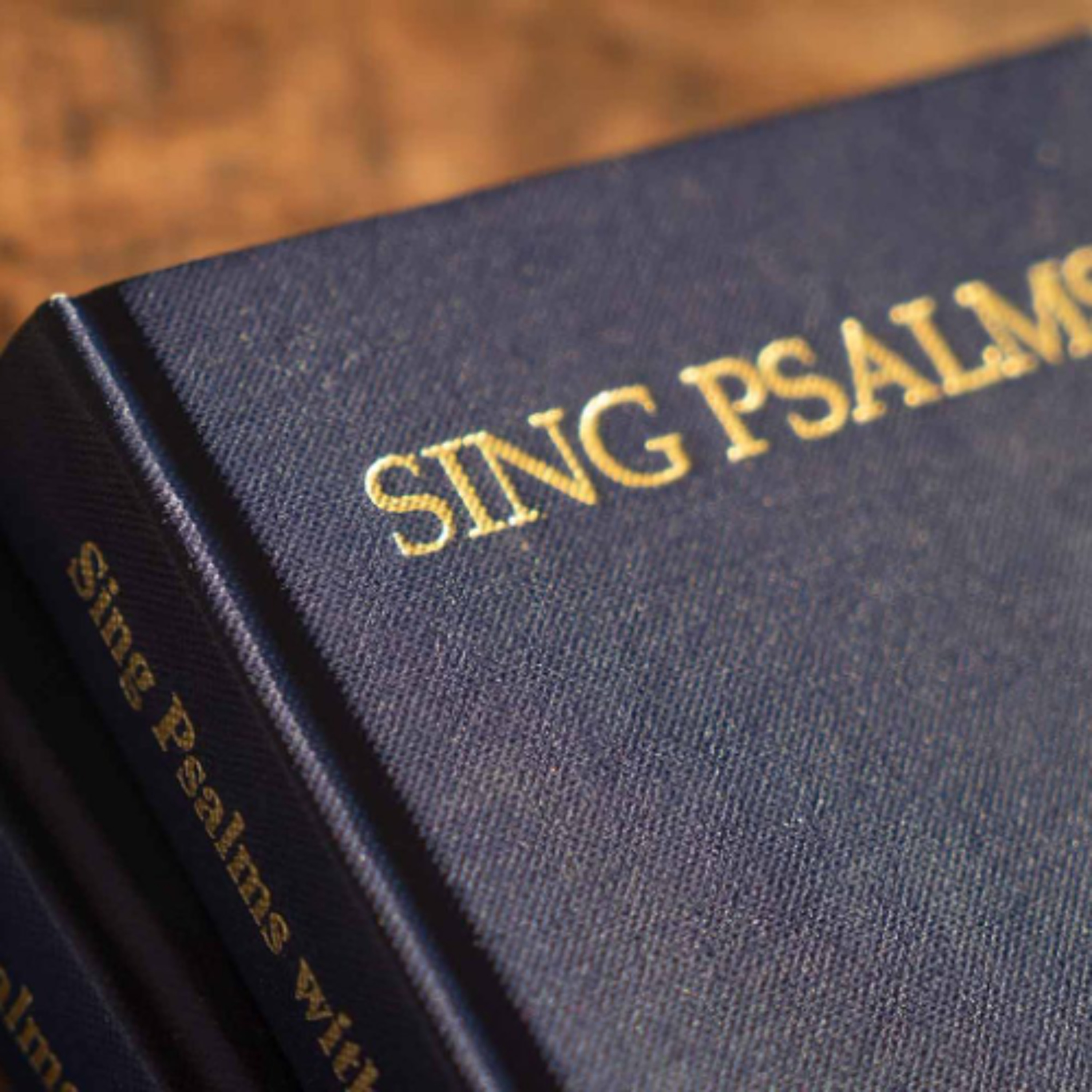 Psalm 23 (Tune: Jehovah Tsidkenu) episode artwork
