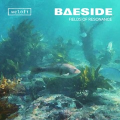 BΔESIDE - Fields Of Resonance [WLFS011]