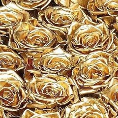Gold Roses Freestyle (Villain Remix)