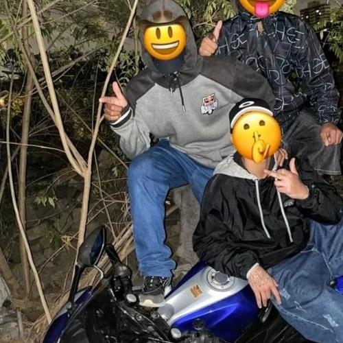 FP NA VOZ - PROFISSAO PERIGO (( DJS ALEX DA BAIXADA, GEBE SUCESSO E PH ))