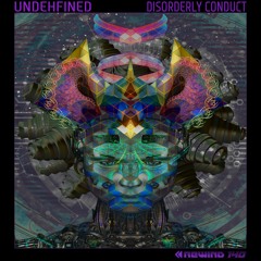 Undehfined - Disorderly Conduct