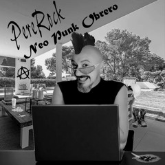 Neo punk obrero