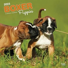 Access PDF EBOOK EPUB KINDLE Boxer Puppies | 2023 12 x 24 Inch Monthly Square Wall Calendar | BrownT