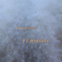 11 - Realize