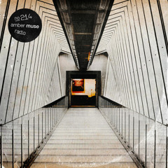 Amber Muse Radio Show #214 with Taran & Lomov // 25 Dec 2020