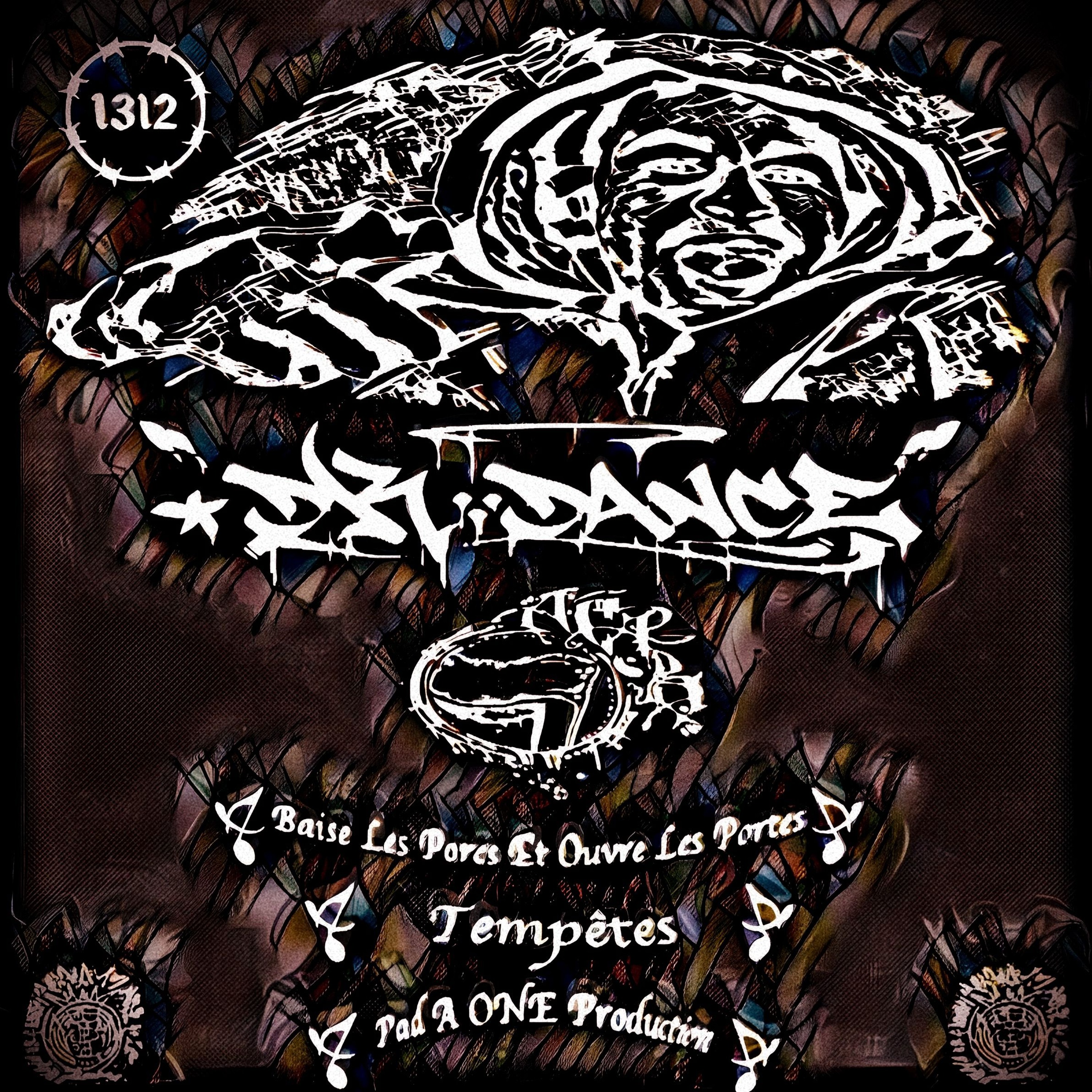 Syl23 ( Studio Non ConForme )