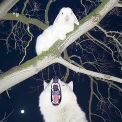 TearingTeeth