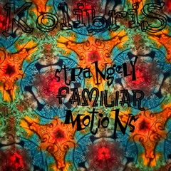 Strangely Familiar Motions :: Progressive Electronic Set :: Misc. / House / Techno / Hip-Hop