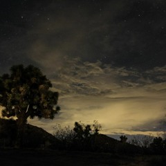 Alex Boshke Tolstey "Joshua Tree 2016 pt 1 "(Acid Rush )