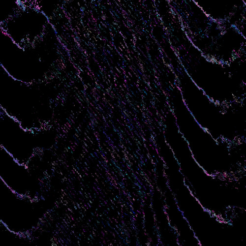 Constant