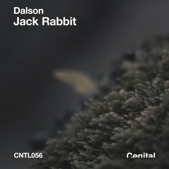 Dalson - Jack Rabbit (Zstimer Remix)[CNTL056]