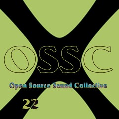 A remark we made - 2022.08.31 Ossc JüThiCarOl - 00ED