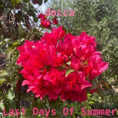 Last Days Of Summer
