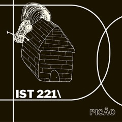 IST 221\ picão